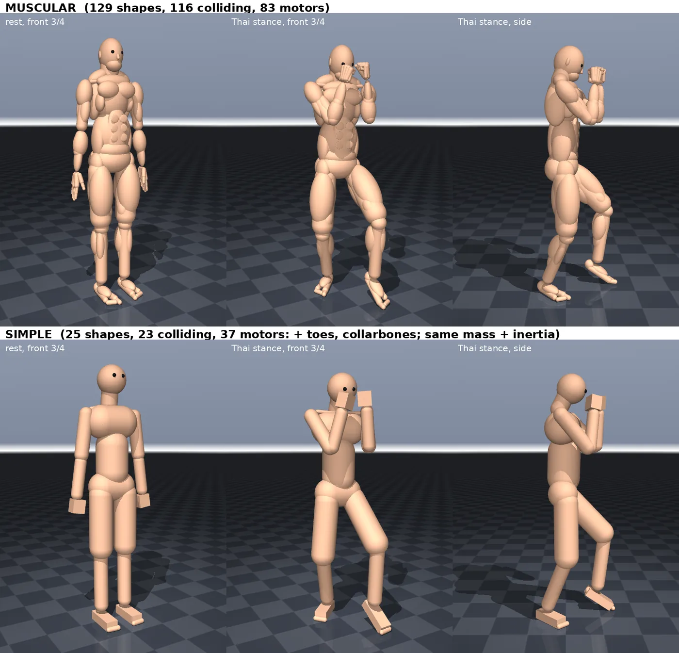 The muscular and simple MuJoCo bodies at rest and in the Muay Thai stance